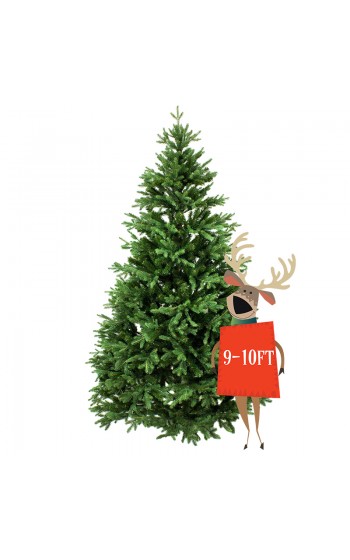 9' to 10’ Premium Canadian Balsam Fir